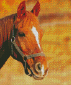 Brown Horse Head Diamond Painting