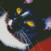 Close Up Tuxedo Cat Diamond Painting