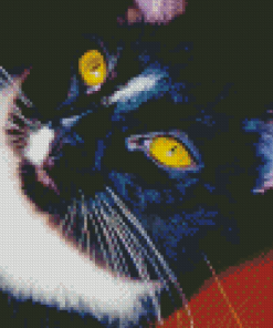 Close Up Tuxedo Cat Diamond Painting