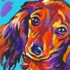 Dachshund Dog Colorful Diamond Paintings