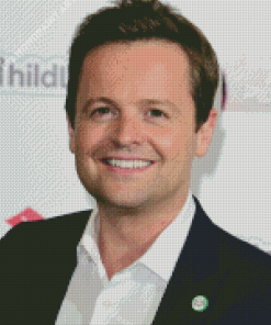 Declan Donnelly Diamond Paintings