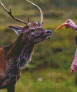 Deer Feeding Diamond Painting