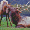 Elks Animals Diamond Painting