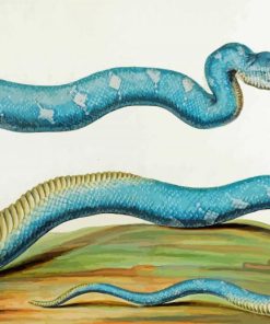 Emerald Tree Boa Snake Diamond Painting