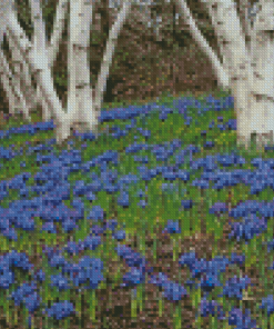 Forest With Bluebells Diamond Painting
