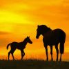 Horse And Foal Sunset Silhouette Diamond Painting