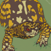 Illustration Box Turtle Diamond Painting