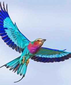 Lilac Breasted Bird Diamond Painting