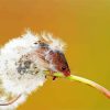 Mouse And Dandelion Plant Diamond Painting