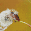 Mouse And Dandelion Plant Diamond Painting