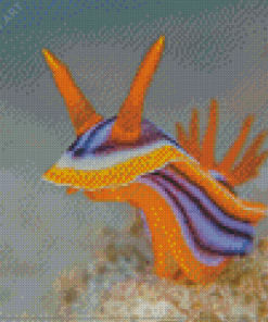 Nudibranch Sea Slug Diamond Paintings