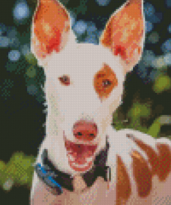Podenco Dog Face Diamond Painting