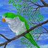 Quaker Parrot On Branch Diamond Painting
