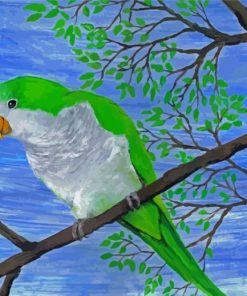 Quaker Parrot On Branch Diamond Painting