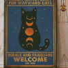 Salem Sanctuary For Wayward Cats Diamond Painting