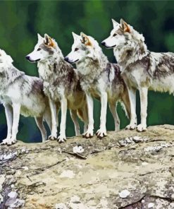 Wolf Pack Animals On Rock Diamond Painting