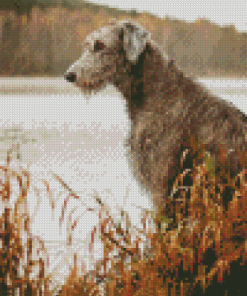 Wolfhound Dog Animal Diamond Painting