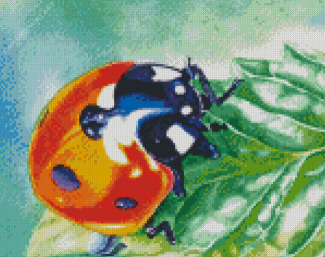 Aesthetic Ladybird Diamond Painting