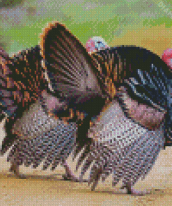 Aesthetic Wild Turkey Illustration Diamond Paintings
