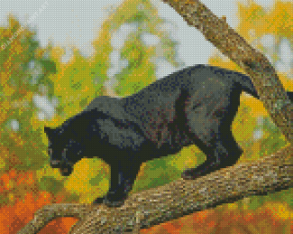 Aesthetic Black Jaguar On Tree Diamond Painting