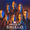 Agents Of Shield Poster Diamond Painting