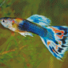 Bleu Guppy Fish Diamond Painting