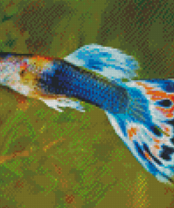 Bleu Guppy Fish Diamond Painting