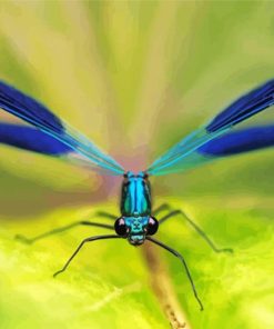 Blue Damsel Fly Diamond Painting