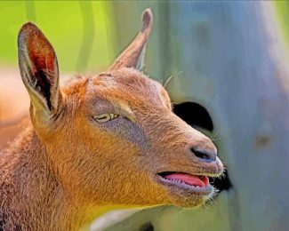 Brown Nigerian Dwarf Goat Diamond Painting