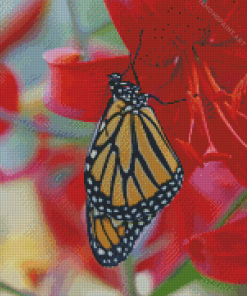 Butterfly On Red Lily Diamond Painting