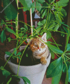 Cat Sitting On Potted Plant Diamond Paintings
