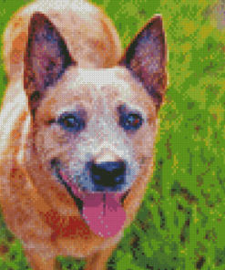 Cute Australia Cattle Dog Diamond Paintings