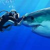 Diver And Great White Shark Diamond Painting