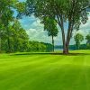 Golf Course Augusta Diamond Painting