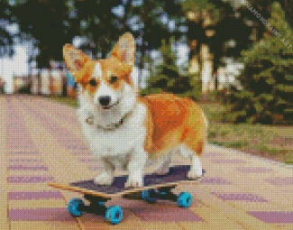 Little Dog Skateboard Diamond Painting