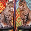 Mirror Cat Art Diamond Painting