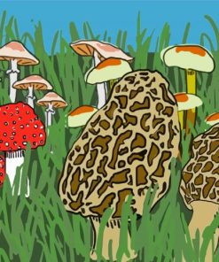 Morel Mushroom Illustration Diamond Painting