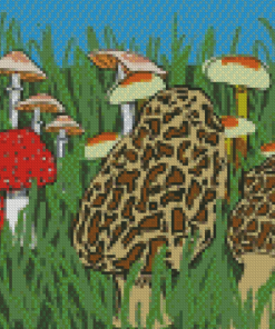 Morel Mushroom Illustration Diamond Painting