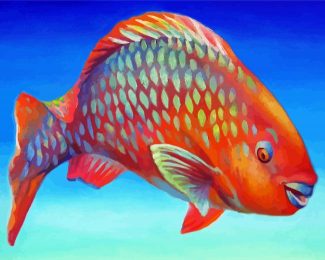 Orange Parrot Fish Diamond Paintings