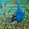 Pukeko Bird Diamond Paintings