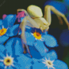 Spider On Forget Me Nots Flowers Diamond Painting
