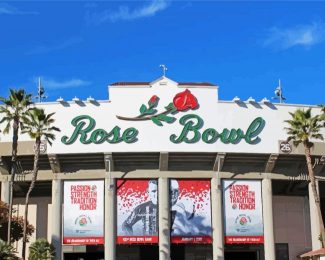 The Rose Bowl Diamond Paintings