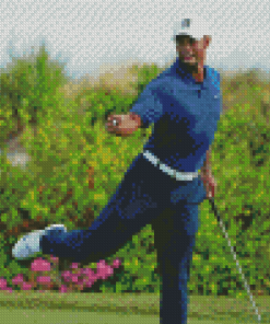 Tiger Woods Golf Man Diamond Painting