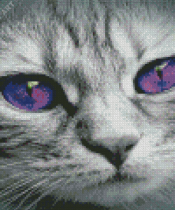 Cat With Violet Eyes Diamond Painting