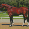 Dark Brown Bay Horse Diamond Painting