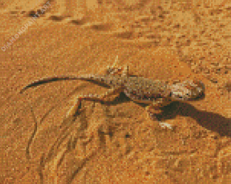 Desert Gecko Diamond Painting