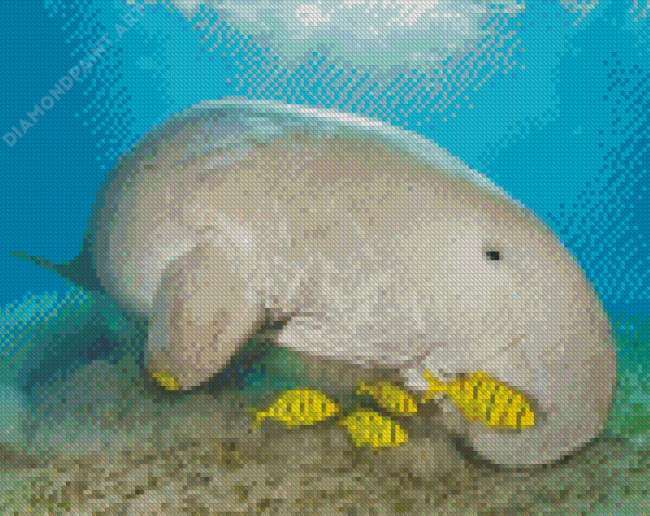 Dugong And Fishes Diamond Painting