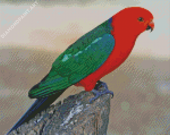 King Parrot Diamond Painting