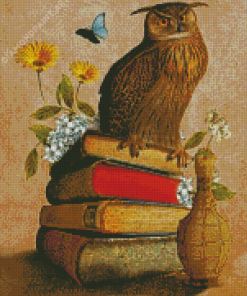 Owl Bird On Books Diamond Painting