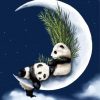 Panda Couple On Moon Diamond Painting